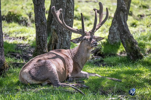 20220601-Aran-Park-espagne-Z07_3111_DxO