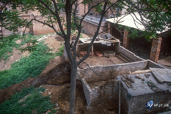 19920507-chine-chi34