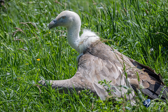 20220601-Aran-Park-espagne-Z07_3123_DxO