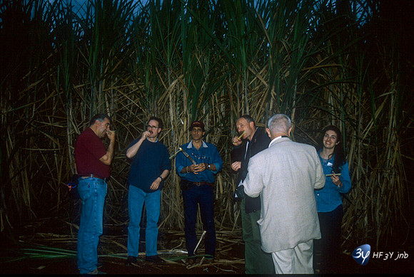 20031115-argentine-ag29