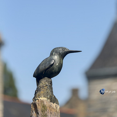 20250812-Bretagne-IMG_4069-3