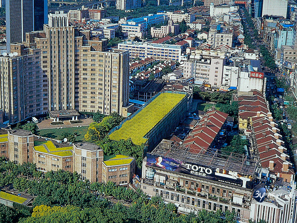 P1060728