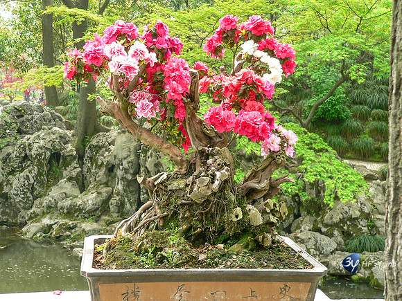 P1080056