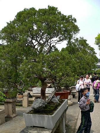 P1080063