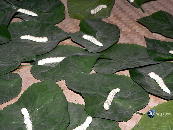 P1080140