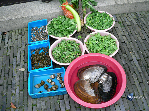 P1080240