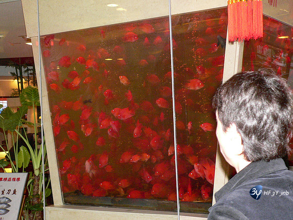 P1080401