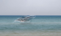 Galerie-JNB-20250608-Italie-Vieste-plage-camping-Z9A_0759-2-2-2-2-M-M_1