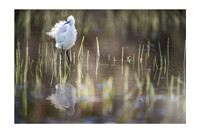 20x30-20241109-lecture-JNB_9961ToP-ds l'eau-B2
