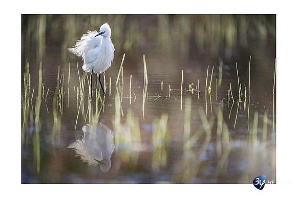 20x30-20241109-lecture-JNB_9961ToP-ds l'eau-B2