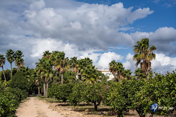 20221003-Vinaros-Espagne-Z07_0347