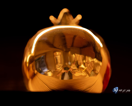 20221012-Grenade-Alhambra-Espagne-Z07_1474