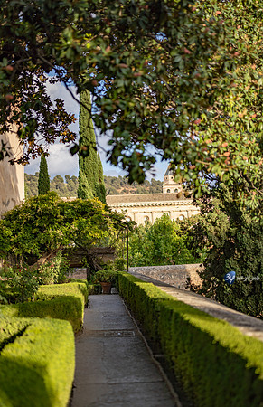 20221012-Grenade-Alhambra-Espagne-Z07_1555