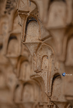 20221012-Grenade-Alhambra-Espagne-Z07_1583