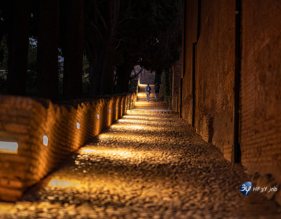 20221012-Grenade-Alhambra-Espagne-Z07_1694