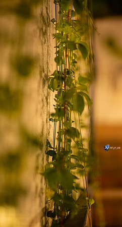 20221012-Grenade-Alhambra-Espagne-Z07_1733