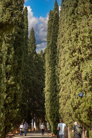 20221012-Grenade-Jardins-Alhambra-Espagne-Z07_1280-Modifier