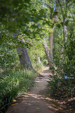 20221012-Grenade-Jardins-Alhambra-Espagne-Z07_1281