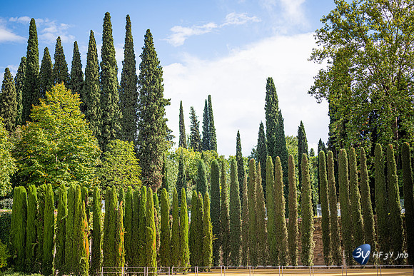 20221012-Grenade-Jardins-Alhambra-Espagne-Z07_1298