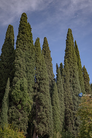 20221012-Grenade-Jardins-Alhambra-Espagne-Z07_1305