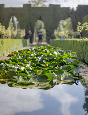 20221012-Grenade-Jardins-Alhambra-Espagne-Z07_1314
