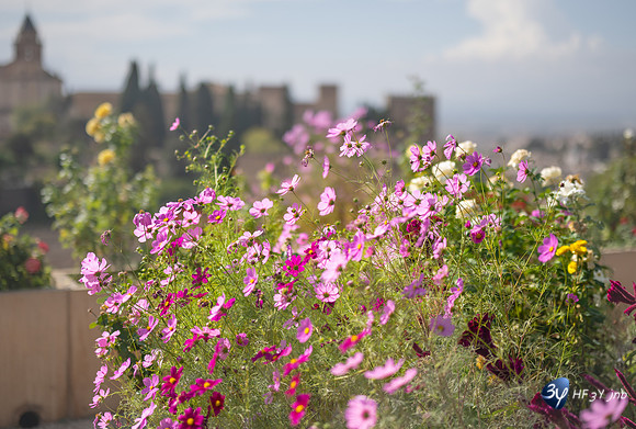 20221012-Grenade-Jardins-Alhambra-Espagne-Z07_1331