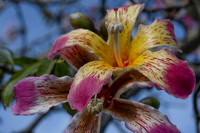 20250923-fanzara-raw-z9a_1729-m