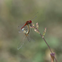 20251004-delta-ebre-ep-raw-z9a_2255-m