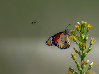 20251004-delta-ebre-raw-z9a_2942-m