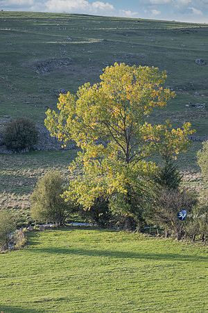 20221003-route-Cantal-Millau-EspagneZ07_0288-
