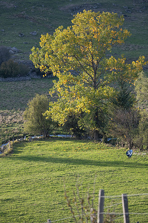 20221003-route-Cantal-Millau-EspagneZ07_0292