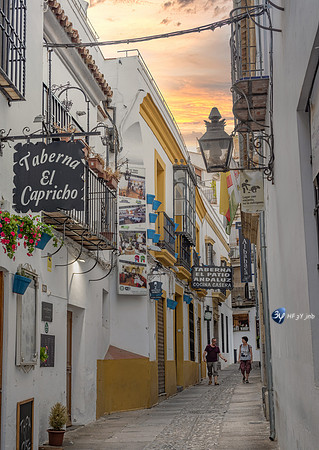 20221006-Vinaros-Espagne-Linares-Z07_0504-