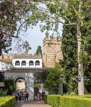 20221018-Seville-Alcazar-Z07_2301