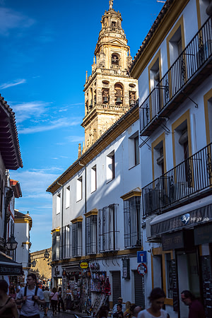 20221008-Cordoba-espagne-Z07_0456