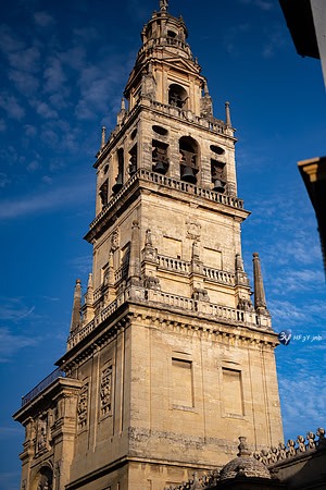 20221008-Cordoba-espagne-Z07_0461