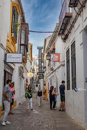 20221008-Cordoba-espagne-Z07_0480-