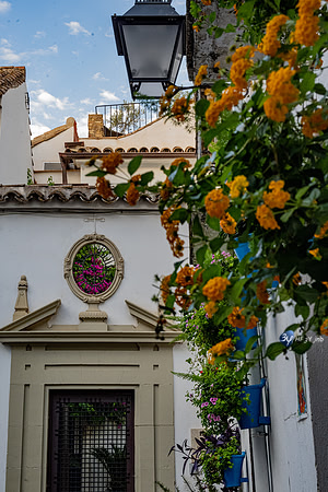 20221008-Cordoba-espagne-Z07_0492