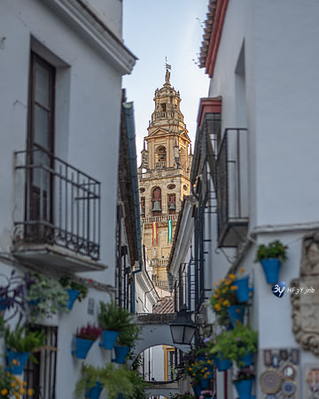 20221008-Cordoba-espagne-Z07_0495