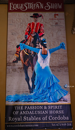 20221008-Cordoba-flamenco-nuit-espagne Z07_1087