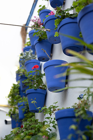 20221008-Cordoba-pot-bleu-espagne Z07_1034