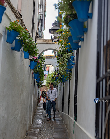 20221008-Cordoba-ruelle-espagne-Z07_0483-