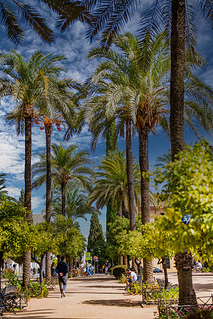 20221008-Cordoba-Z07_0613-