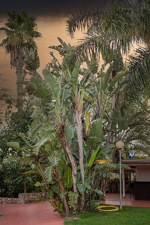 20221008-Vinaros-Z07_0342-
