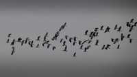 11122025-20251211-Grues-Cendrées-vendée-Z9B_1654-2-Modifier