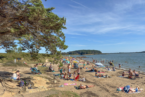 20250812-Bretagne-IMG_3989-3