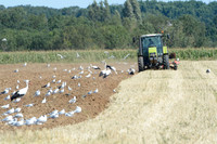 agriculture