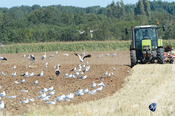viewA-20120808-cigogne-_JNB1537