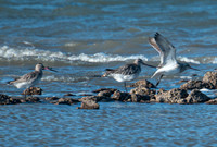 VS bord de mer monde