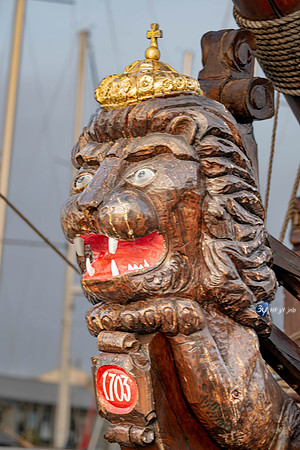 Z09_9486-lum