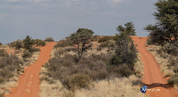 20230527-0528--Namibie-Kalaharigamelodge-3Z5_0604